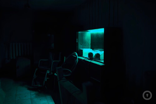 Перформанс Outlast на nn.kvestinfo.ru Перформанс Outlast